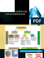 Flujo de Energía de Los Ecosistemas 13