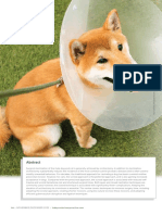 Orchiectomy PDF