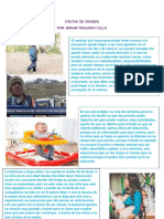 Pautas de Crianza PDF