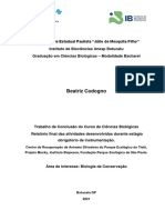 Codogno B TCC Bot PDF