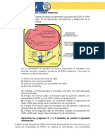 Ciencias Naturales 9° 1er Periodo