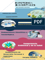 Competencia fundamentaLes.pdf
