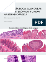 Caso Clínico Digestivo