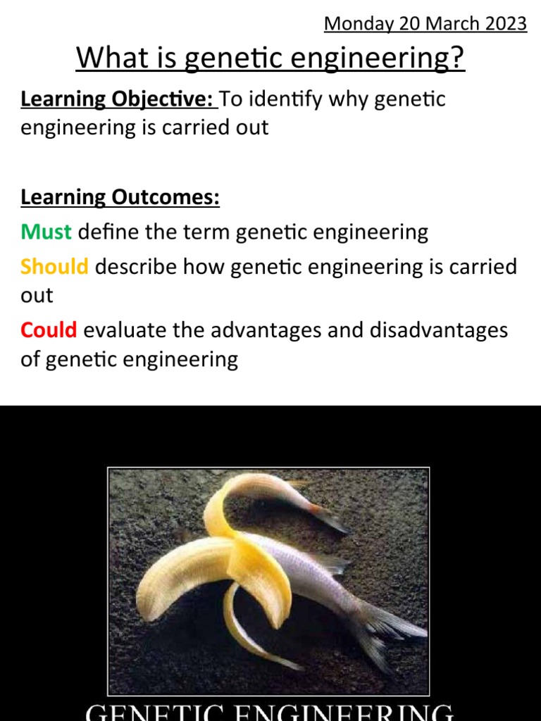 Understanding Genetic Engineering Basics | PDF | Genetic Engineering ...