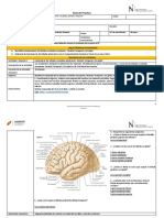 Guía de Práctica 9 PDF