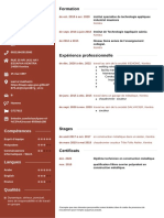 Formation: Curriculum Vitae