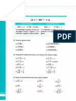 Radicales PDF