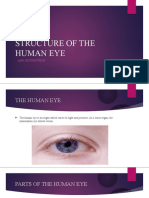 PRESENTATION ON THE STRUCTURE OF THE HUMAN EYE Biology