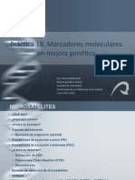 P18 - Marcadores Moleculares en Mejora Genetica 2022-2023