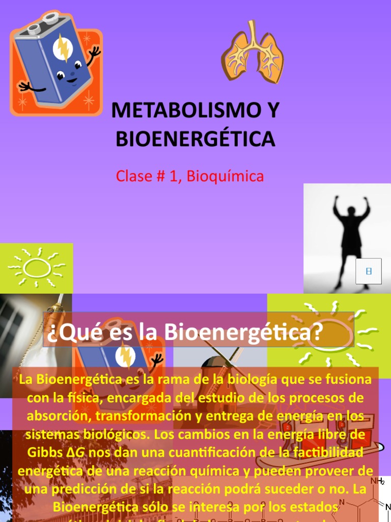 METABOLISMO Y BIOENERGÉTICA | PDF | Bioenergética | Metabolismo