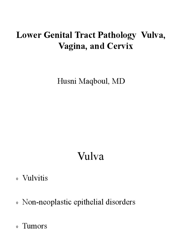 Vulva Vagina Uterus Modified Pdf Pdf Cervical Cancer Clinical
