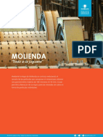 molienda_media_t__cnico_060119.pdf