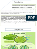 Transpiration PDF