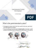 Development of the Gastrointestinal System