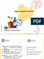 Homeostasis y Regulación Endocrina