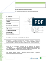 ACTIVIDAD 2 (8 Abril)