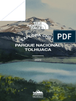 19 Tolhuaca PDF