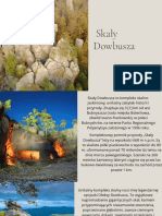 Skały Dowbusza PDF