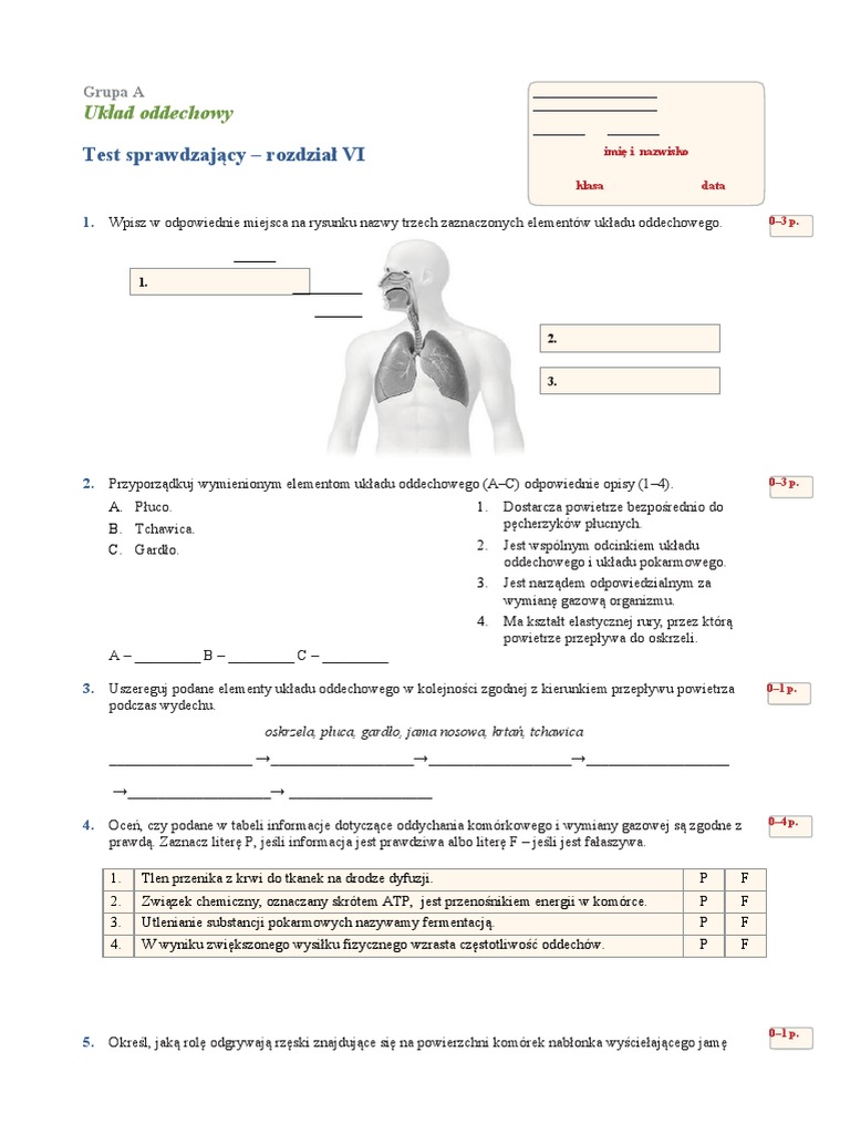 Test Po Dziale 6 Uklad Oddechowy 1 | PDF