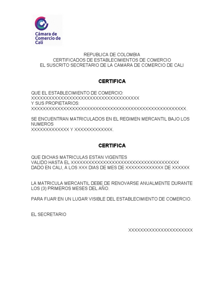 Certificado Camara de Comercio | PDF
