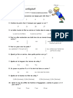 Questionnaire de Volleyball