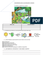 Actividades de Reapso de CS Naturales 4to
