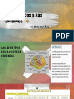 Sentidos PDF