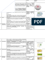 Cuestionario Citoplama Organelos