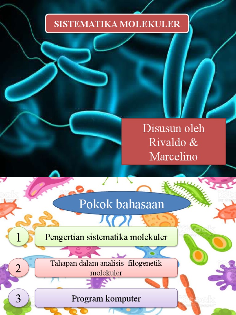 Analisis Filogenetik Molekuler dan Programnya | PDF