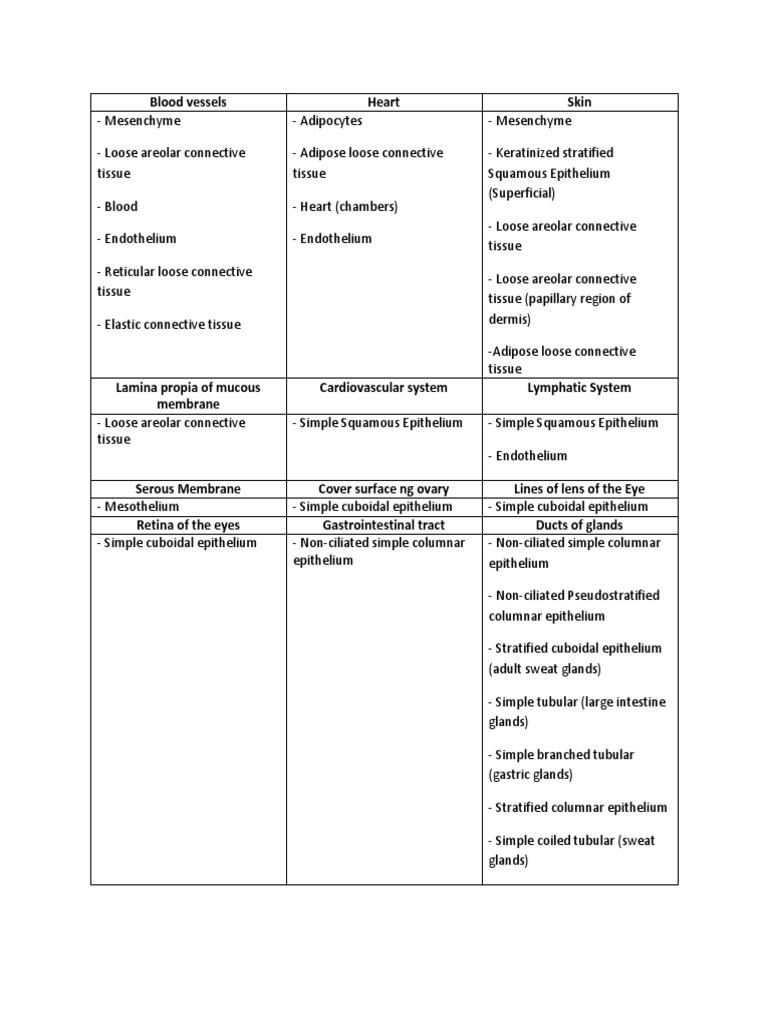 Tissue Locations PDF Epithelium Connective Tissue