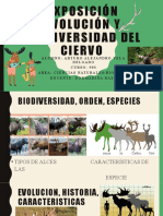 Exposición Evolución y Biodiversidad Del