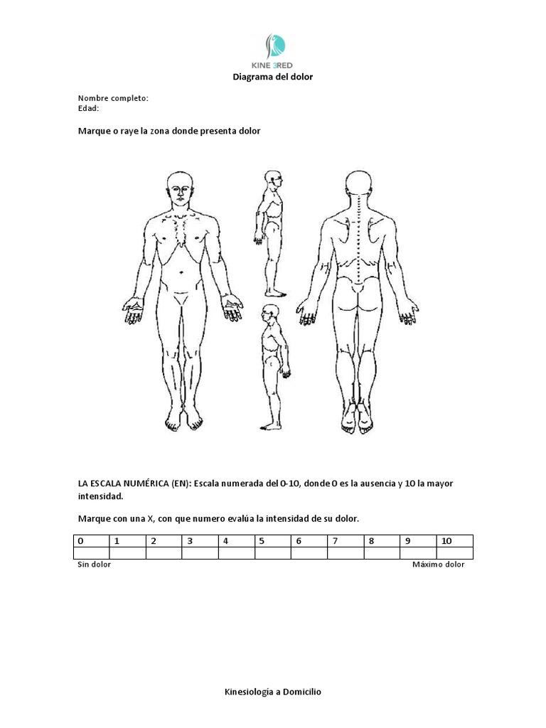 Diagrama De Evaluaci n Del Dolor PDF