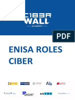 Enisa Roles Ciber