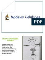 Modelos Celulares
