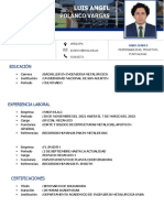 CV Trabajo PDF