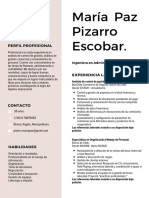 María Paz Pizarro Escobar.: Perfil Profesional