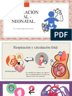 Circulación Fetal - Neonatal