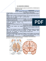 Diferències Entre Hemisferis PDF