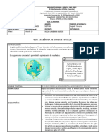 Guia Segundo Trimestre