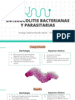 Enterocolitis bacterianas y parasitarias: morfología y aspectos clínicos