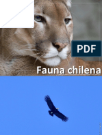 Fauna Chilena