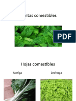 Plantas Comestibles