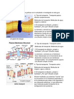 Actividad 4