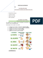 Órganos del cuerpo y sentidos