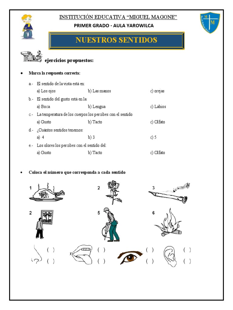 Ejercicios sobre los 5 sentidos para 1er grado | PDF