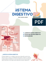 Expo Sistema Digestivo