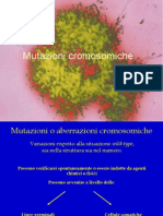 Anomalie Cromosomiche