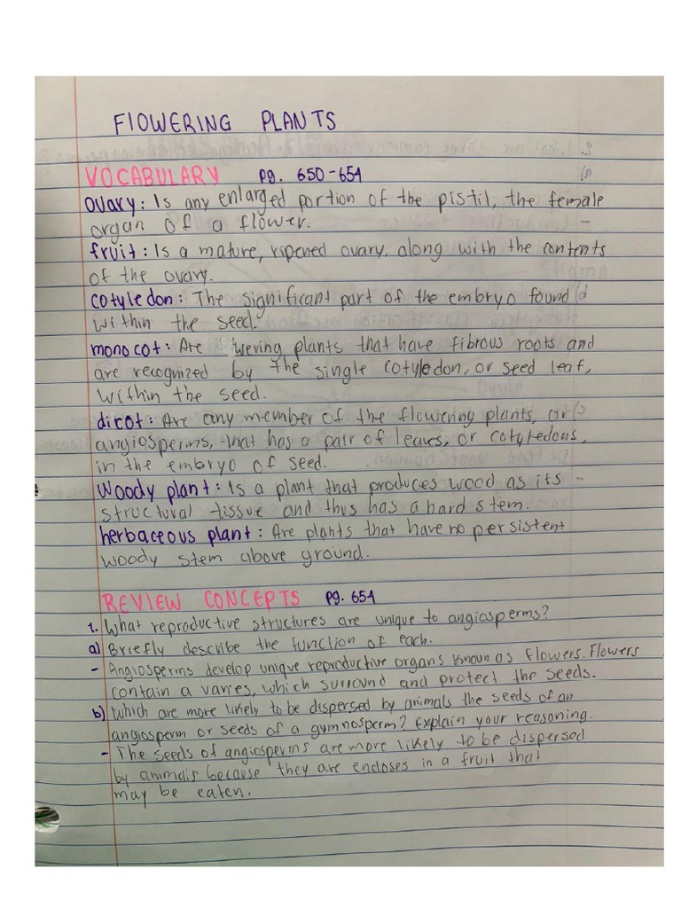 Homework Pages PDF | PDF