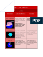 ORGANELOS DE LA CÉLULA. Equipo 9 PDF