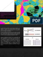 Interferencia de La Luz